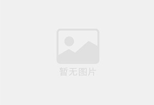 PET电机膜